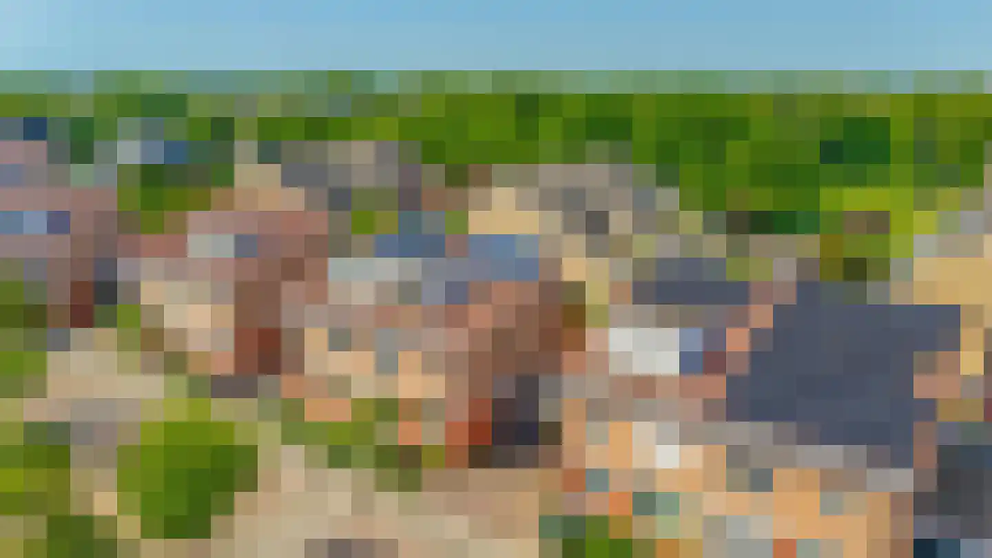 Karekiet 27 's-Gravenzande thumbnail 45