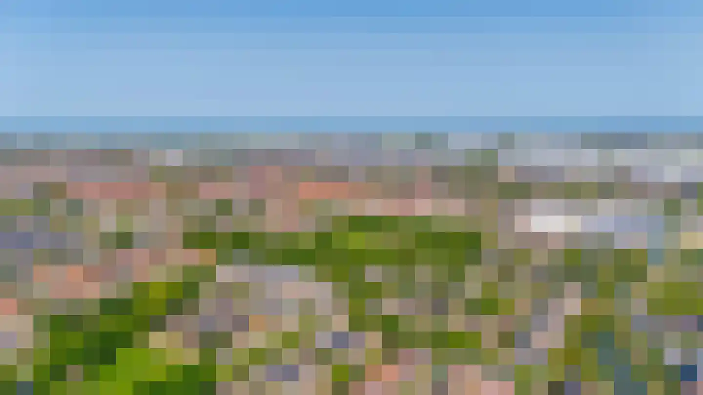 Karekiet 27 's-Gravenzande thumbnail 46