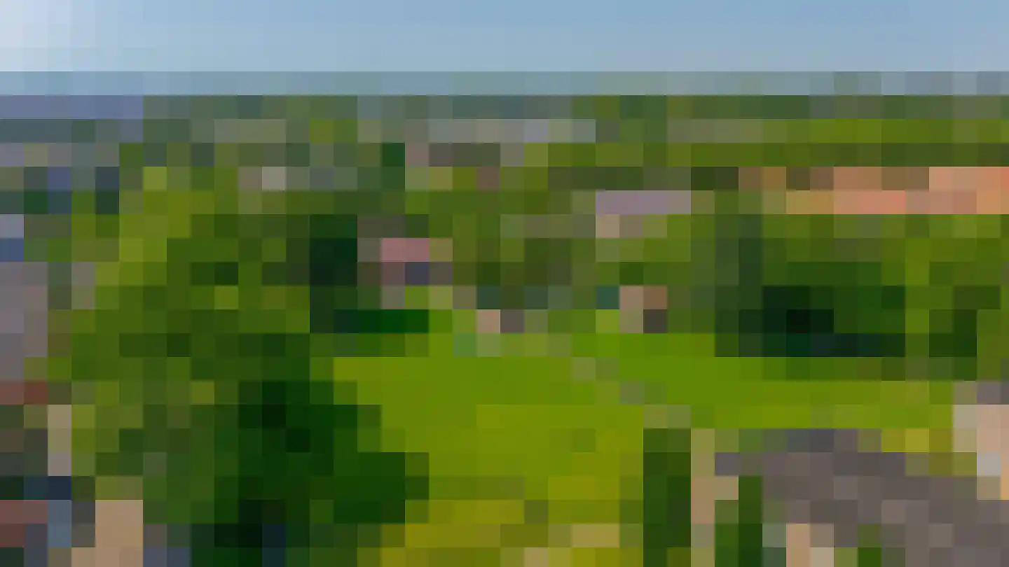 Karekiet 27 's-Gravenzande thumbnail 47