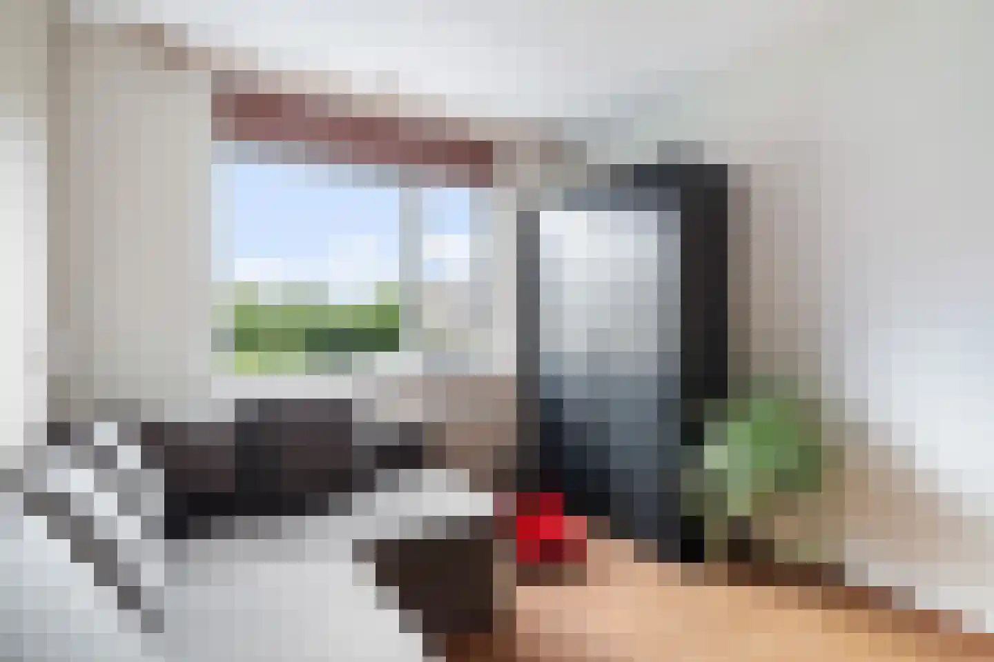 Karekiet 35 's-Gravenzande thumbnail 43