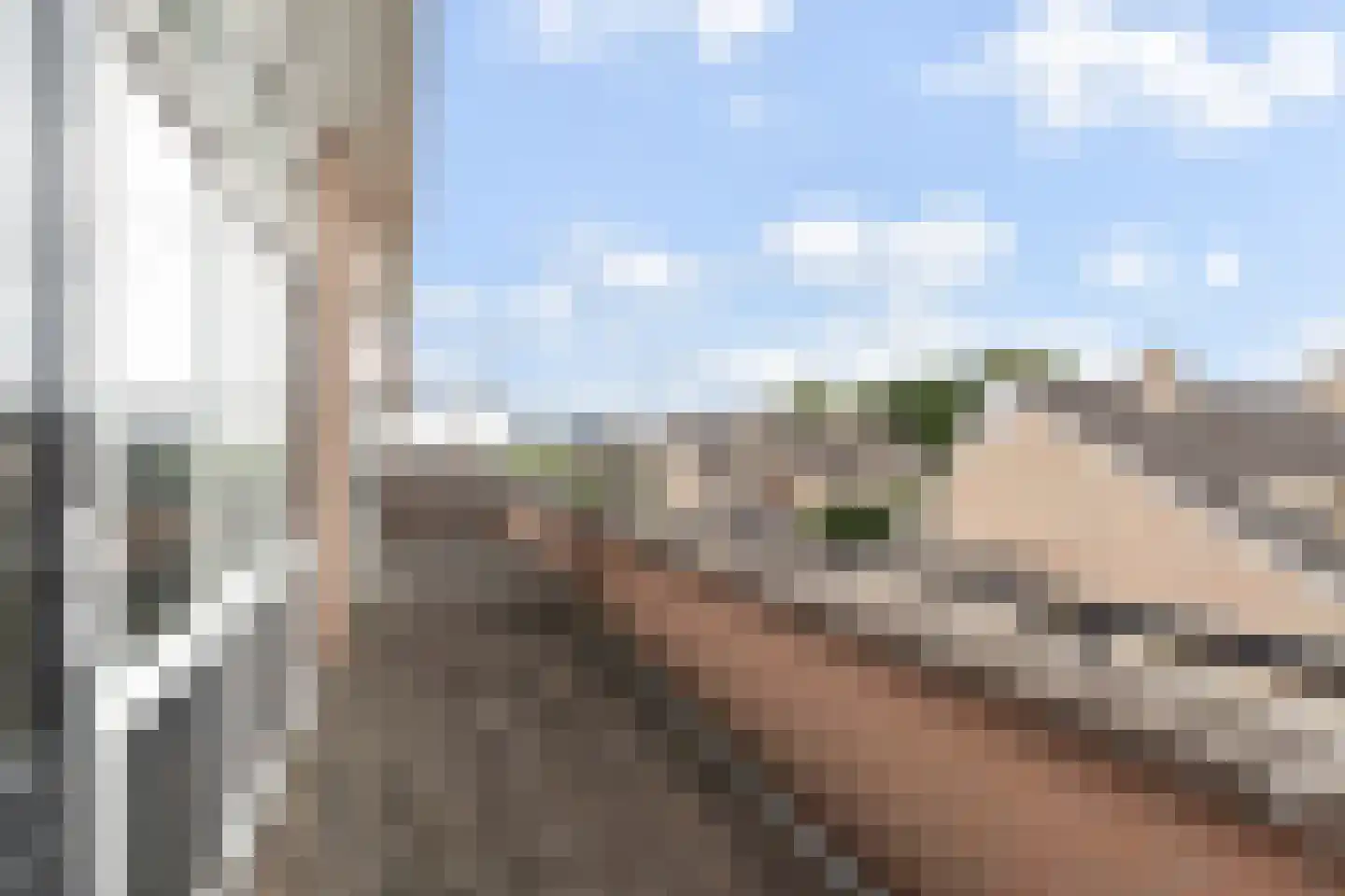 Karekiet 35 's-Gravenzande thumbnail 51