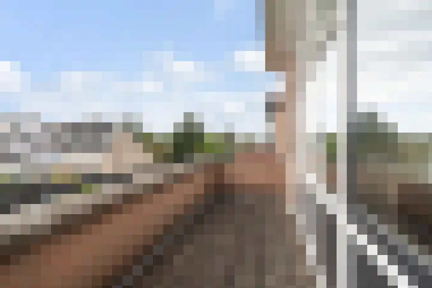 Karekiet 35 's-Gravenzande thumbnail 52