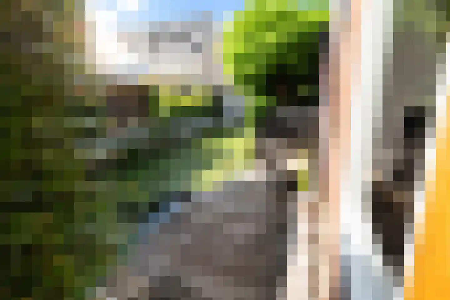 Karekiet 35 's-Gravenzande thumbnail 54