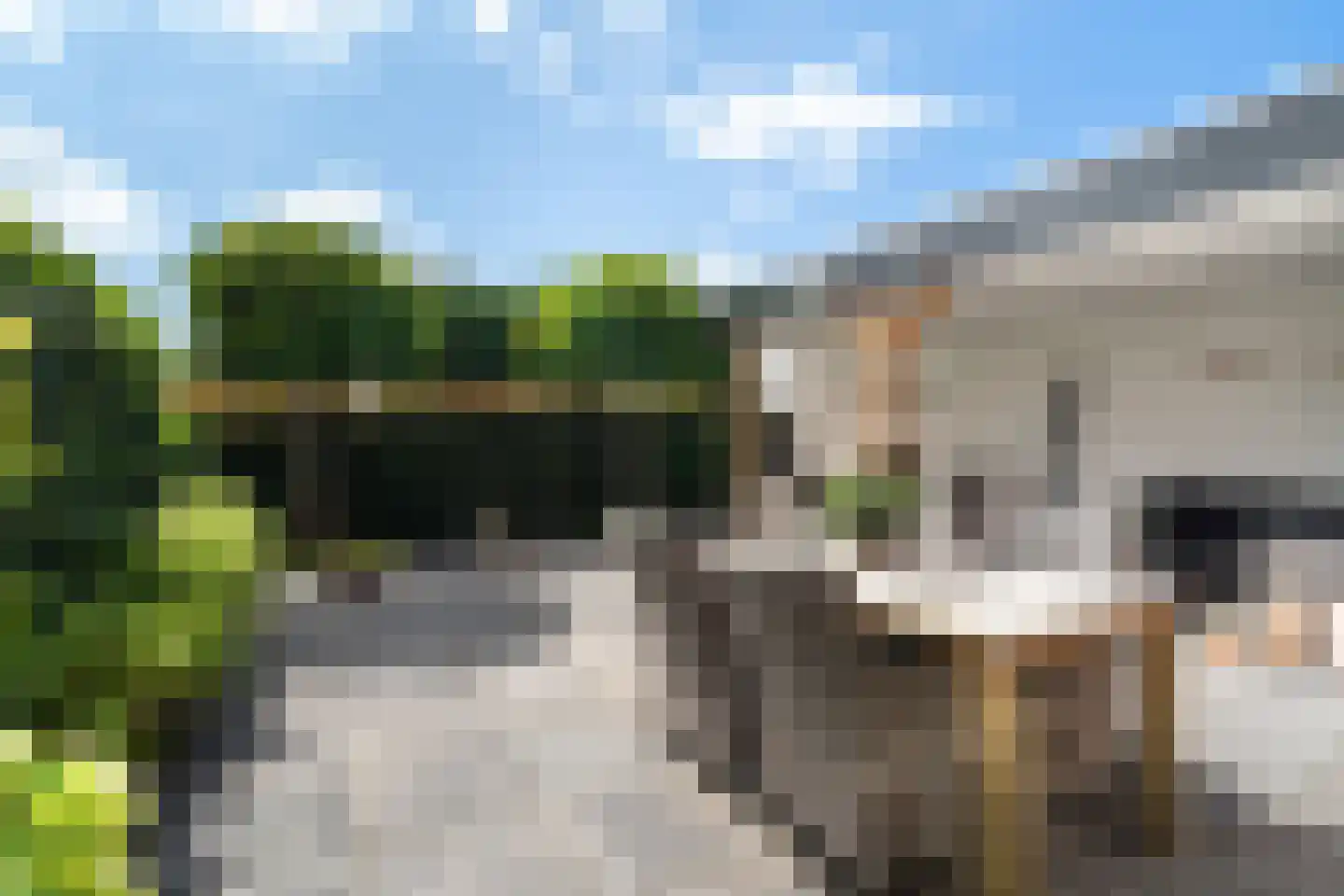 Karekiet 35 's-Gravenzande thumbnail 8