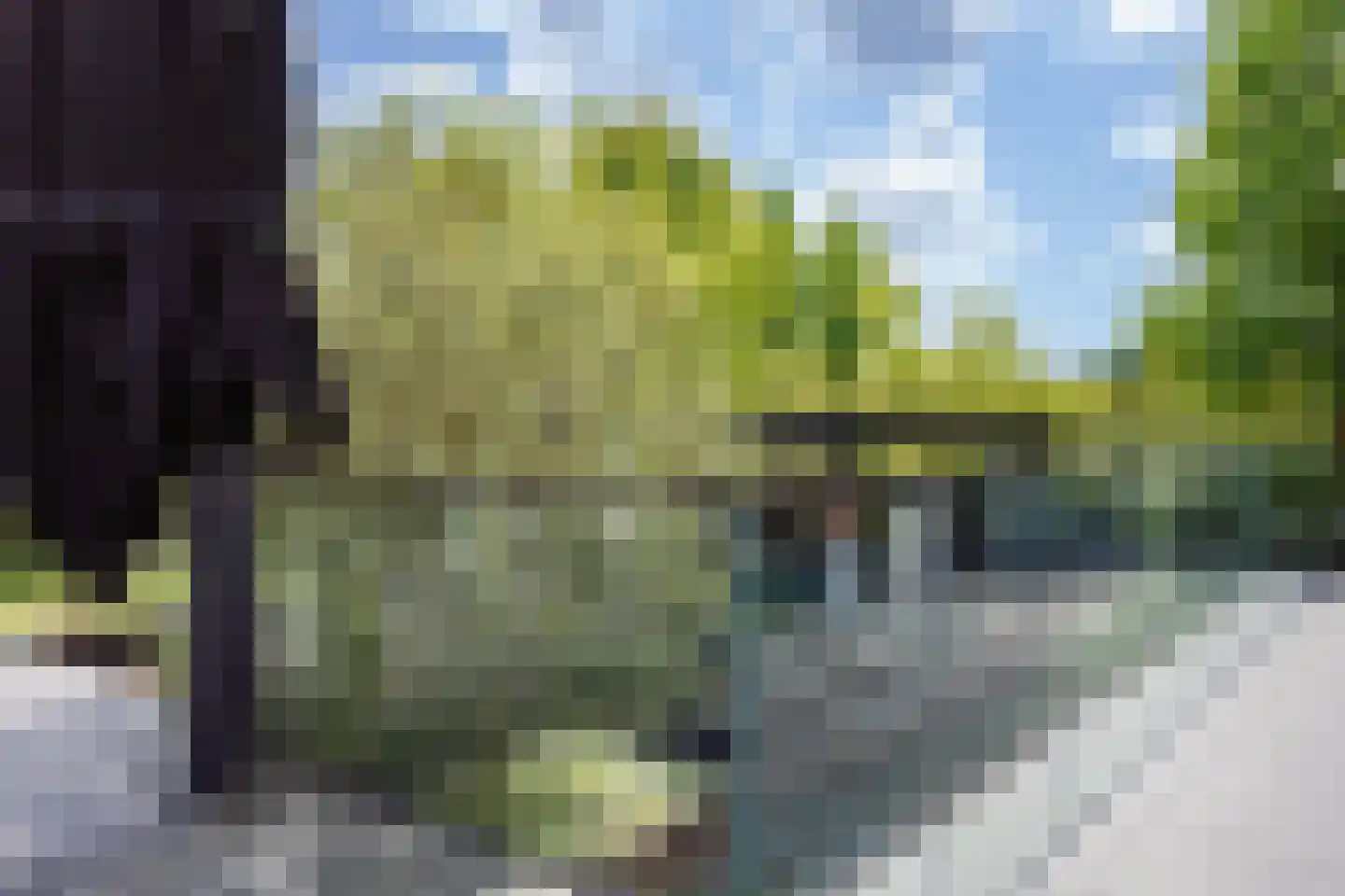 Karekiet 36 Hoogkarspel thumbnail 31