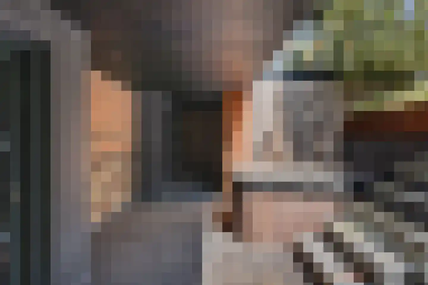 Karekiet 36 Hoogkarspel thumbnail 32