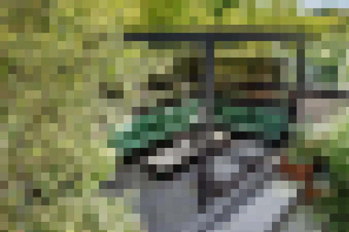Karekiet 36 Hoogkarspel thumbnail 34