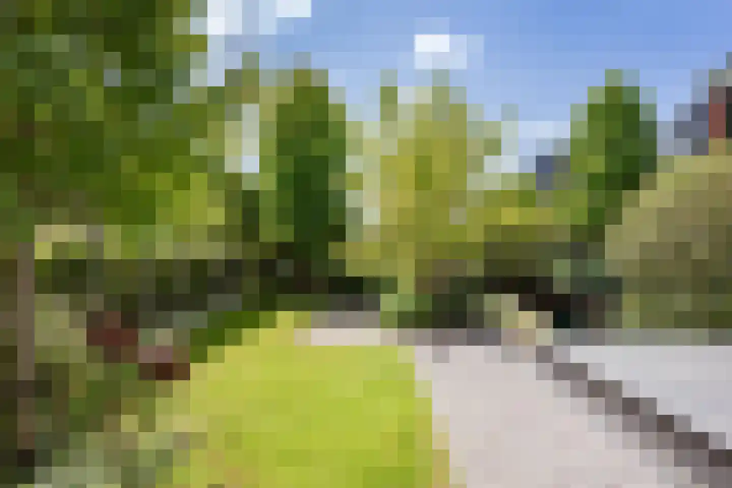 Karekiet 36 Hoogkarspel thumbnail 36