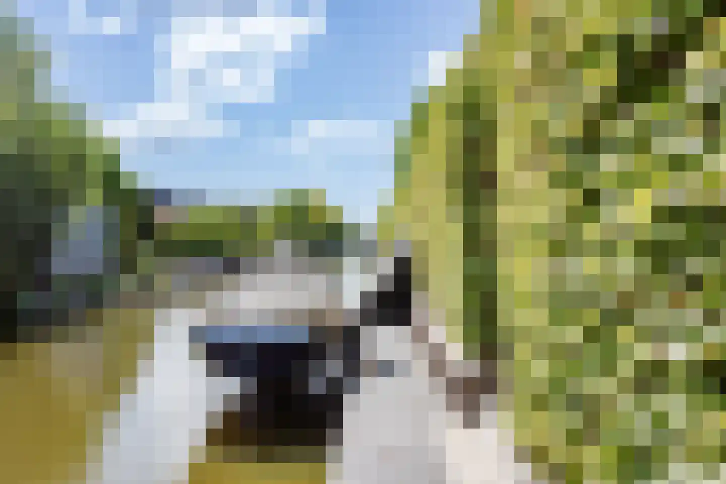 Karekiet 36 Hoogkarspel thumbnail 44