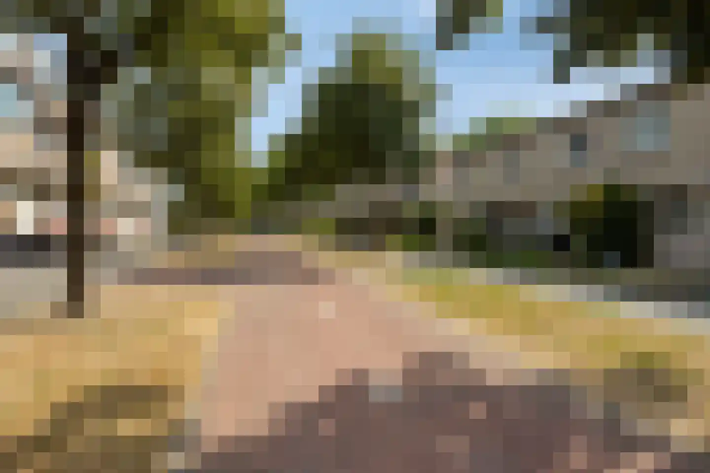 Karekiet 39 Etten-Leur thumbnail 26