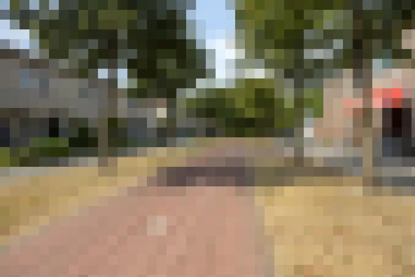 Karekiet 39 Etten-Leur thumbnail 27