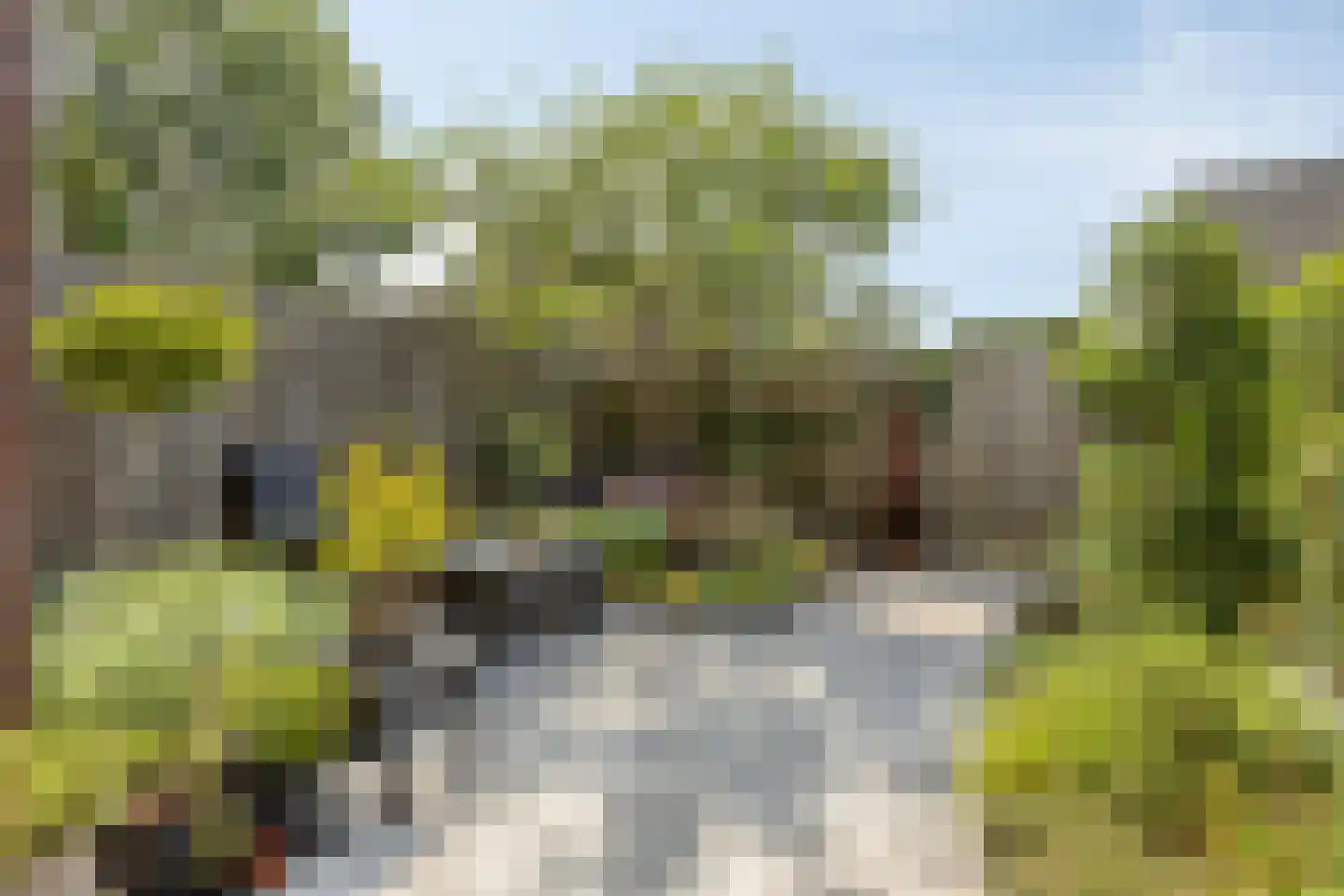 Karekiet 39 Etten-Leur thumbnail 4