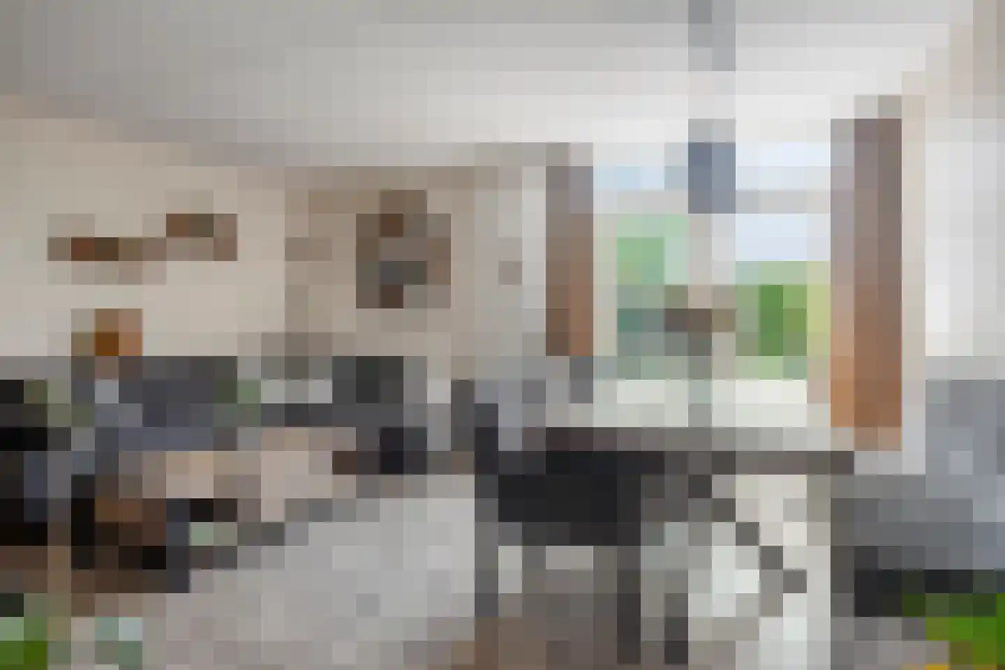 Karekiet 39 Etten-Leur thumbnail 8