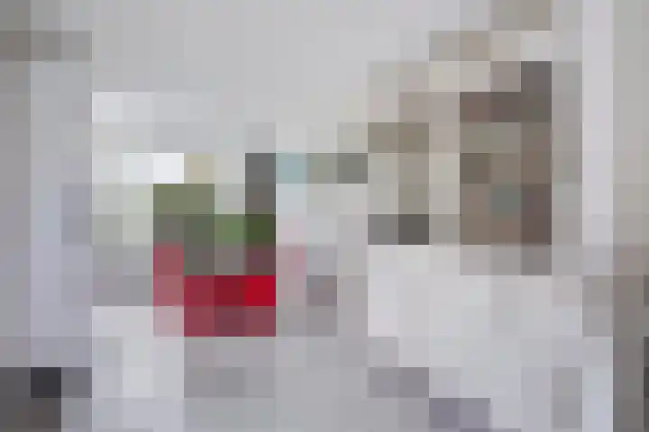 Karekiet 47 's-Gravenzande thumbnail 10