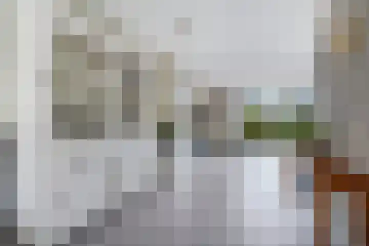 Karekiet 47 's-Gravenzande thumbnail 11