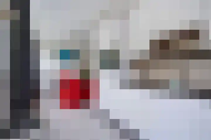 Karekiet 47 's-Gravenzande thumbnail 14