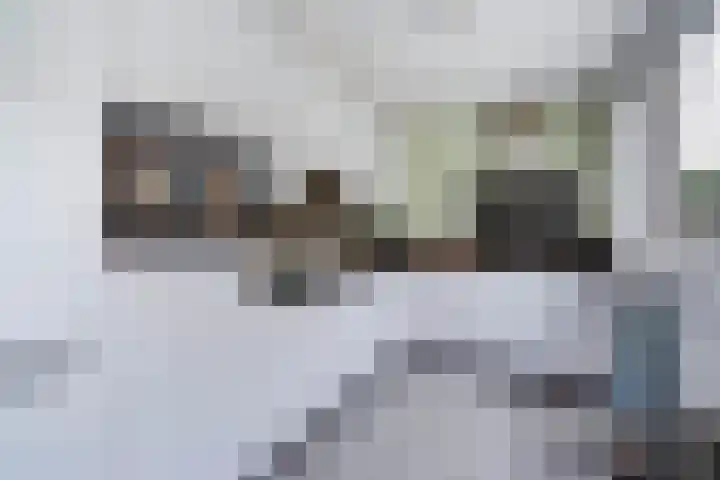 Karekiet 47 's-Gravenzande thumbnail 15