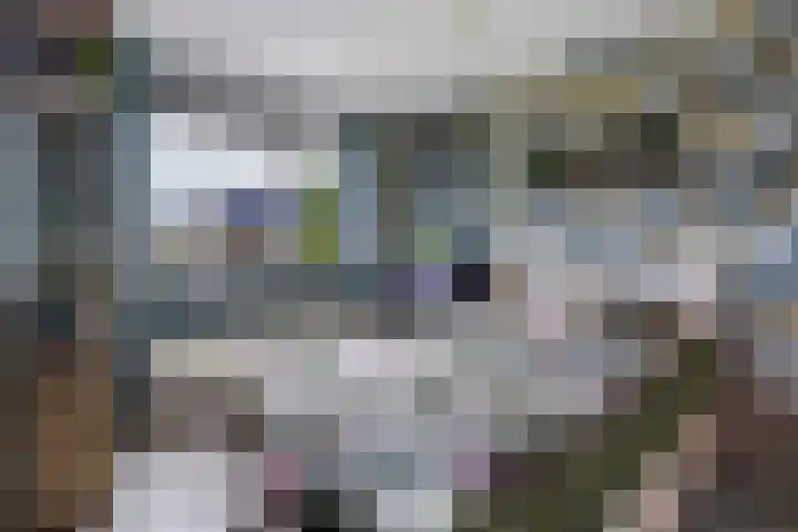 Karekiet 47 's-Gravenzande thumbnail 23