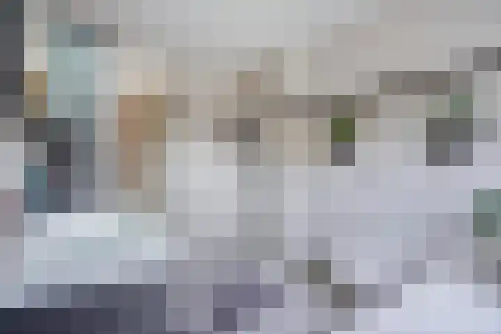 Karekiet 47 's-Gravenzande thumbnail 30