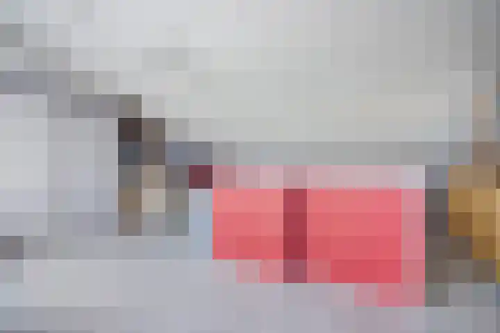 Karekiet 47 's-Gravenzande thumbnail 36