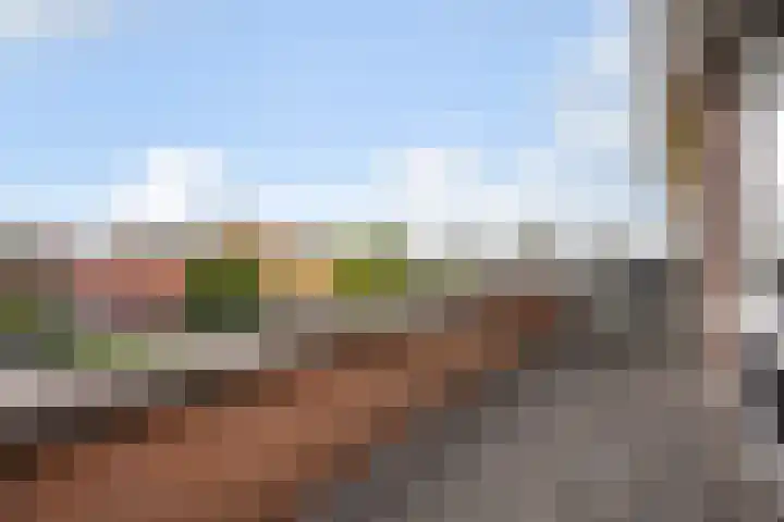 Karekiet 47 's-Gravenzande thumbnail 37