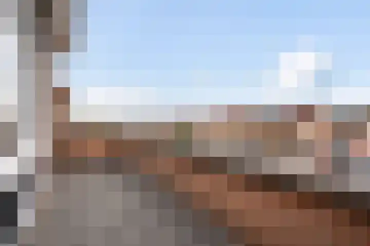 Karekiet 47 's-Gravenzande thumbnail 38