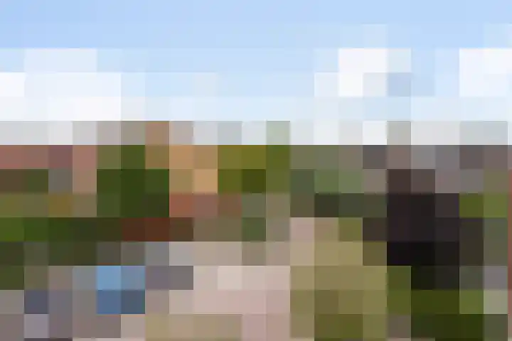 Karekiet 47 's-Gravenzande thumbnail 39