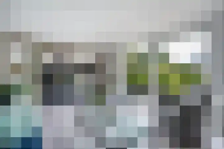 Karekiet 47 's-Gravenzande thumbnail 4