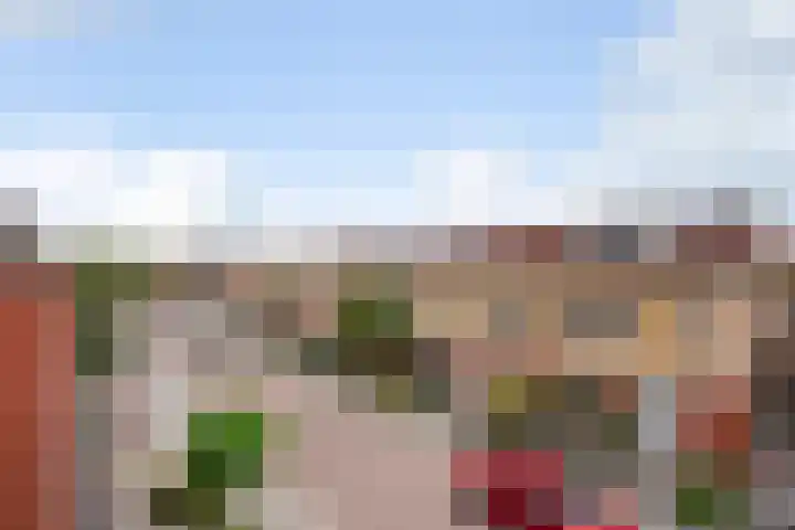 Karekiet 47 's-Gravenzande thumbnail 40