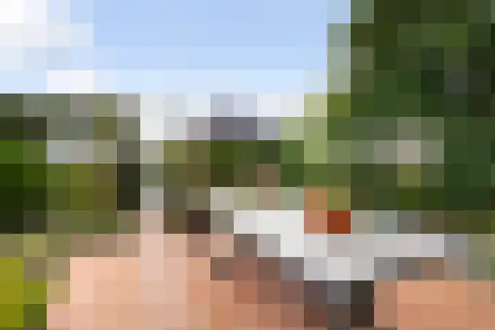 Karekiet 47 's-Gravenzande thumbnail 41