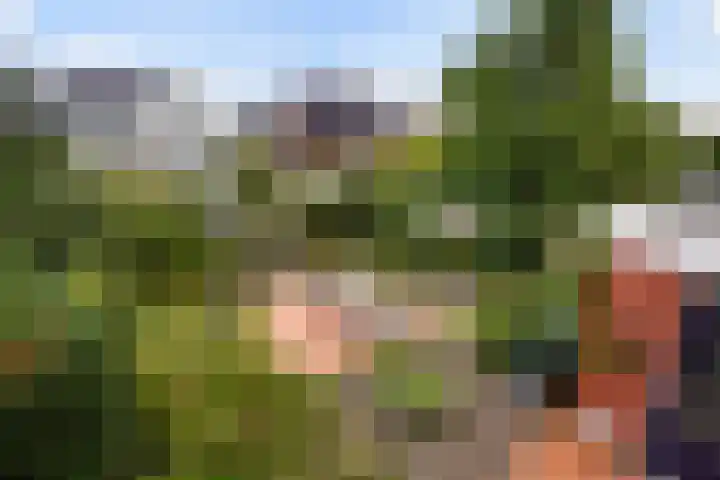Karekiet 47 's-Gravenzande thumbnail 42