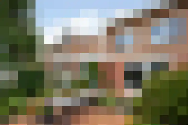 Karekiet 47 's-Gravenzande thumbnail 43
