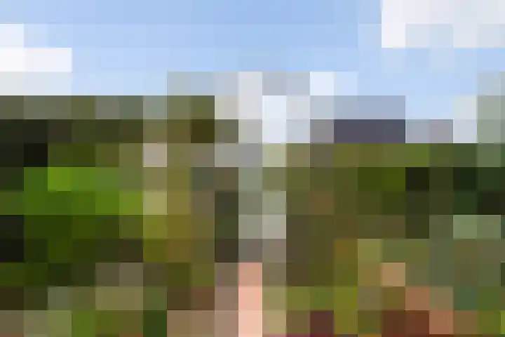 Karekiet 47 's-Gravenzande thumbnail 44