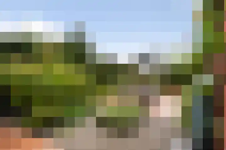 Karekiet 47 's-Gravenzande thumbnail 45