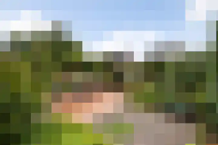 Karekiet 47 's-Gravenzande thumbnail 46