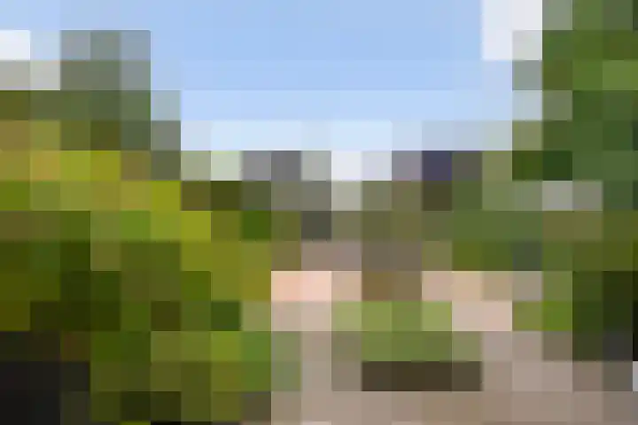 Karekiet 47 's-Gravenzande thumbnail 47