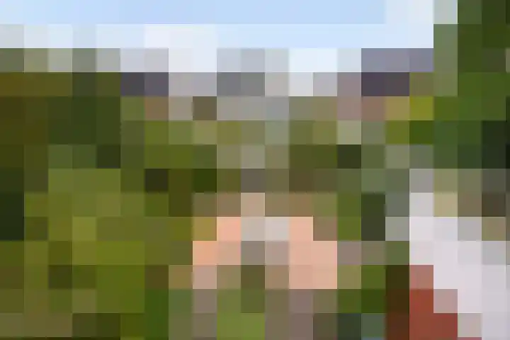 Karekiet 47 's-Gravenzande thumbnail 48