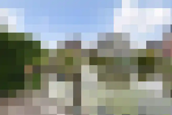 Karekiet 47 's-Gravenzande thumbnail 49