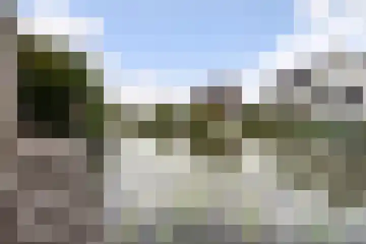 Karekiet 47 's-Gravenzande thumbnail 50