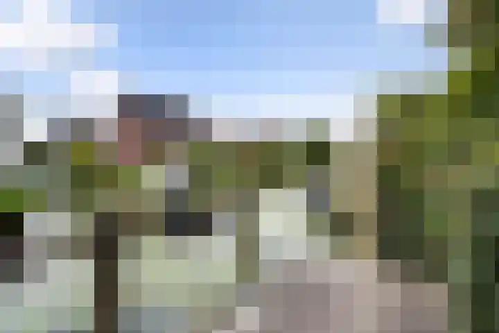 Karekiet 47 's-Gravenzande thumbnail 51