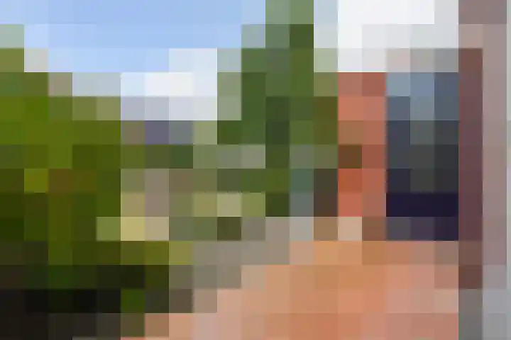 Karekiet 47 's-Gravenzande thumbnail 52