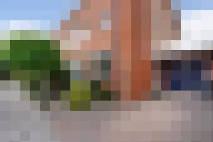 Karekiet 47 's-Gravenzande thumbnail 55