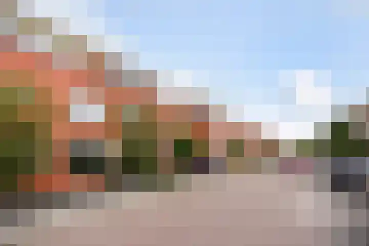 Karekiet 47 's-Gravenzande thumbnail 56