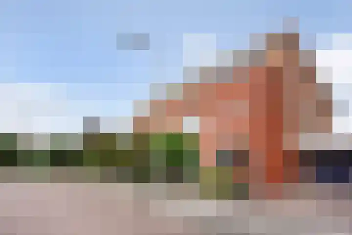 Karekiet 47 's-Gravenzande thumbnail 57
