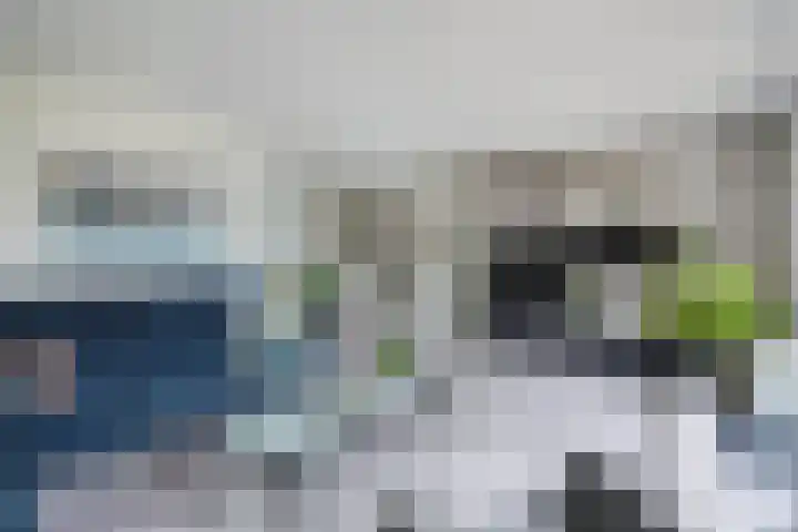 Karekiet 47 's-Gravenzande thumbnail 6