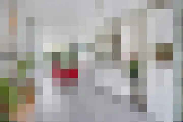 Karekiet 47 's-Gravenzande thumbnail 9