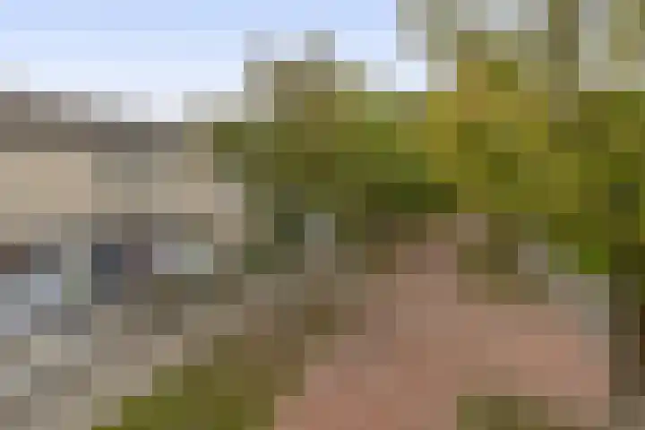 Karekiet 49 Etten-Leur thumbnail 30