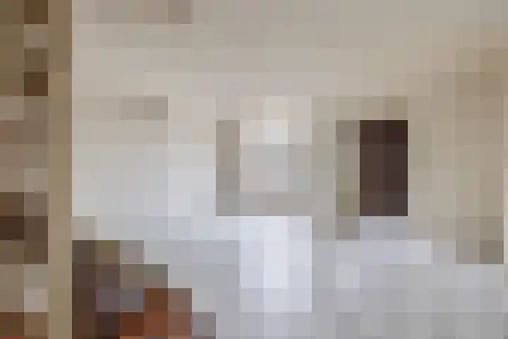 Karekiet 49 Etten-Leur thumbnail 7
