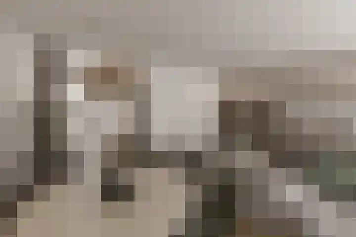Karekiet 49 Etten-Leur thumbnail 8