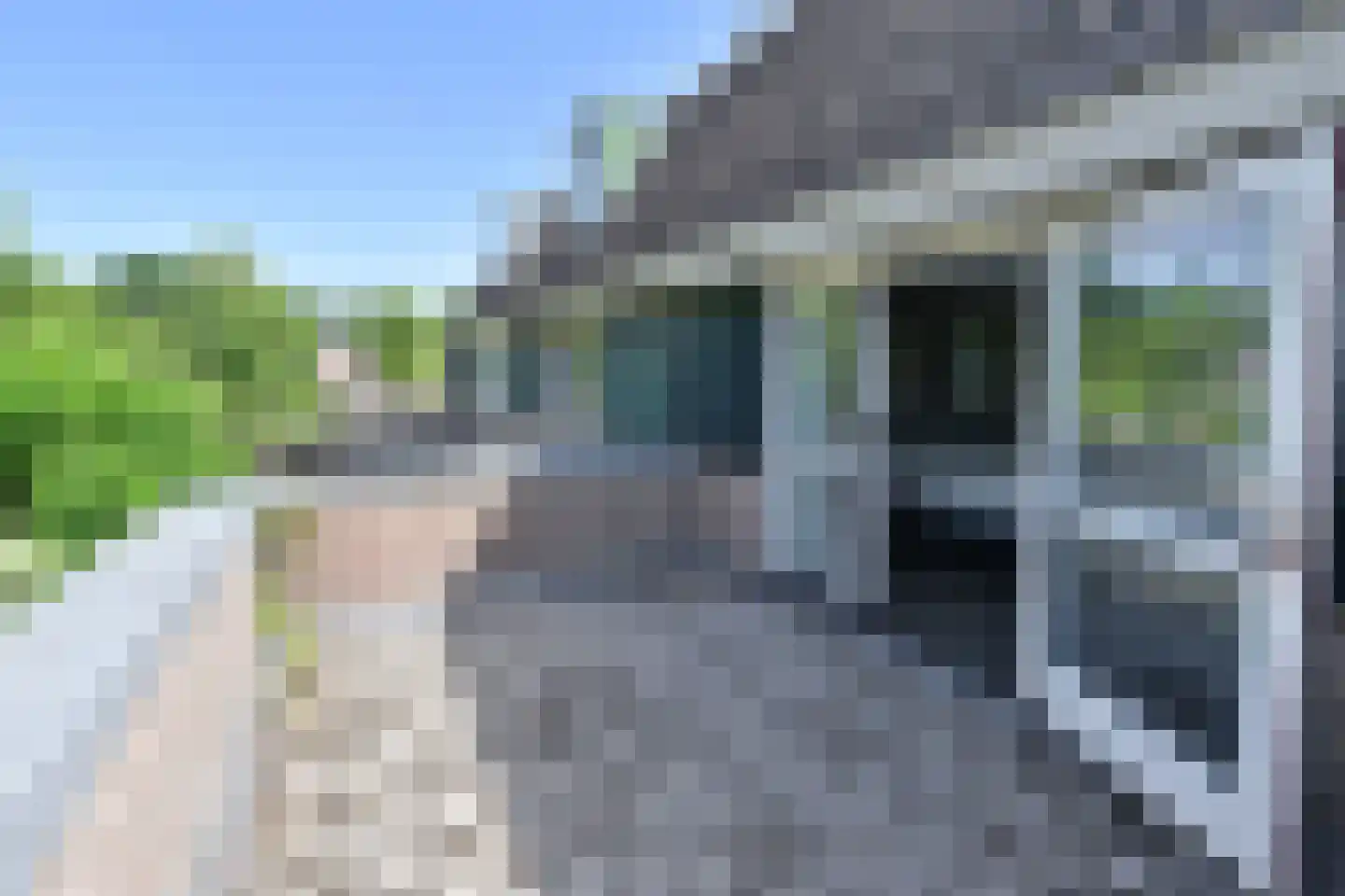 Karekiet 5 Blaricum thumbnail 12